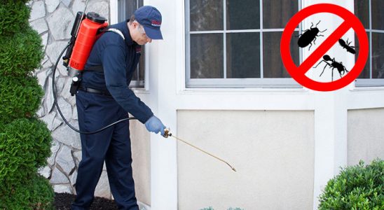 Gümüşpala Akrep İlaçlama böcek ilaçlama ve haşere kontrolü — ilaclama-tr.com